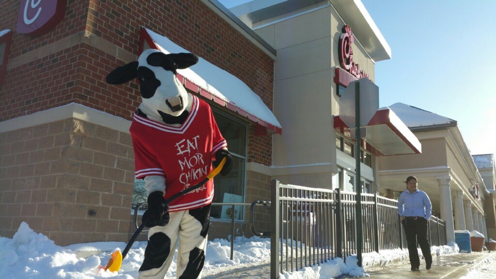 Chick-fil-A cow shoveling snow